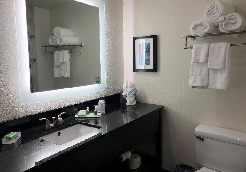 اتاق استاندارد, Holiday Inn Allentown Bethlehem, An Ihg
