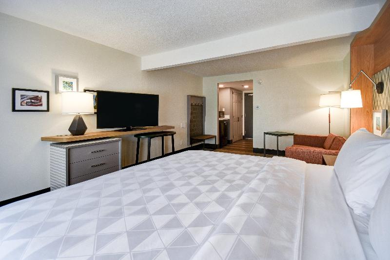 اتاق استاندارد با تخت بزرگ, Holiday Inn Allentown Bethlehem, An Ihg