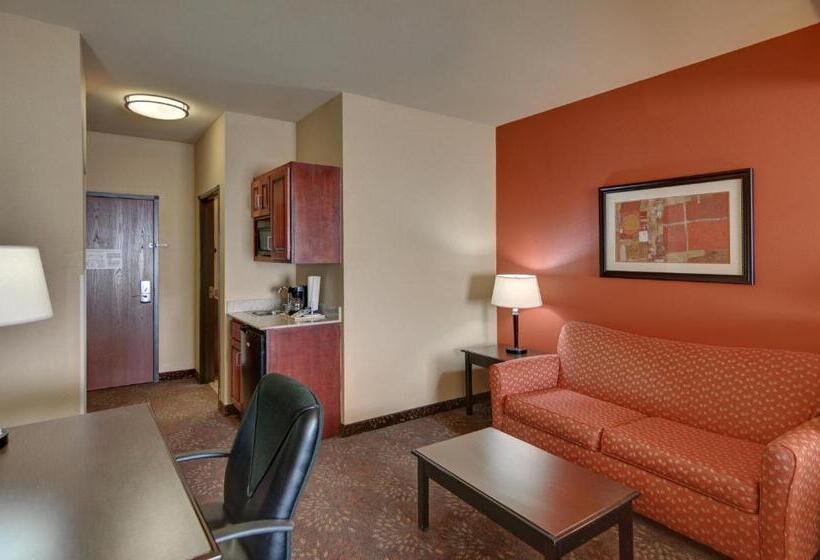اتاق استاندارد با تخت بزرگ, Holiday Inn Express Tyler South, An Ihg