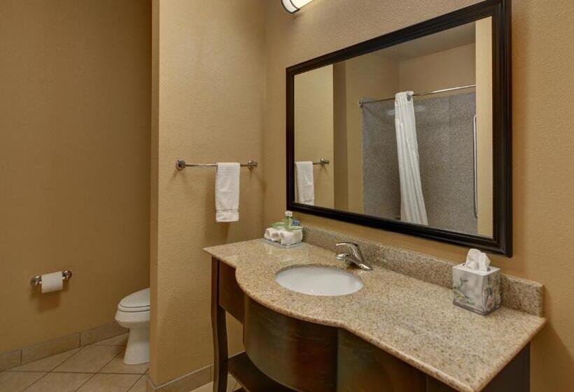 اتاق استاندارد با تخت بزرگ, Holiday Inn Express Tyler South, An Ihg