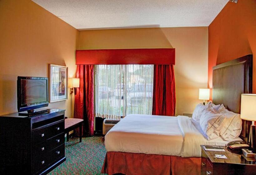 اتاق استاندارد با تخت بزرگ, Holiday Inn Express Tyler South, An Ihg