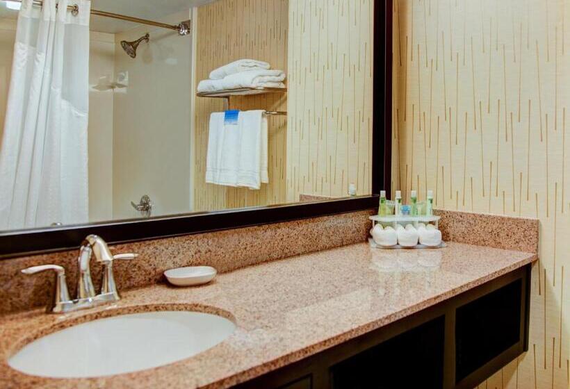 اتاق استاندارد, Holiday Inn Express Tyler South, An Ihg