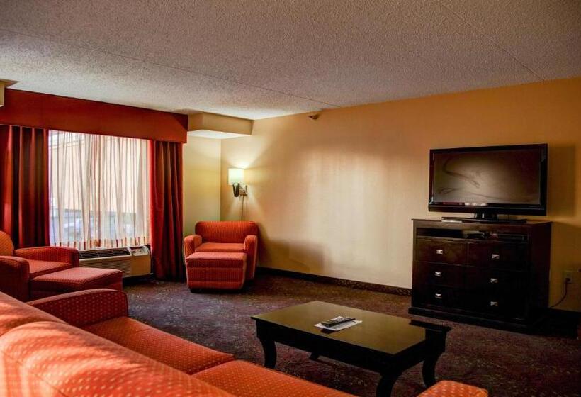 Suite Cama King, Holiday Inn Express Tyler South