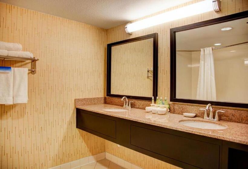 سوئیت با تخت بزرگ, Holiday Inn Express Tyler South, An Ihg