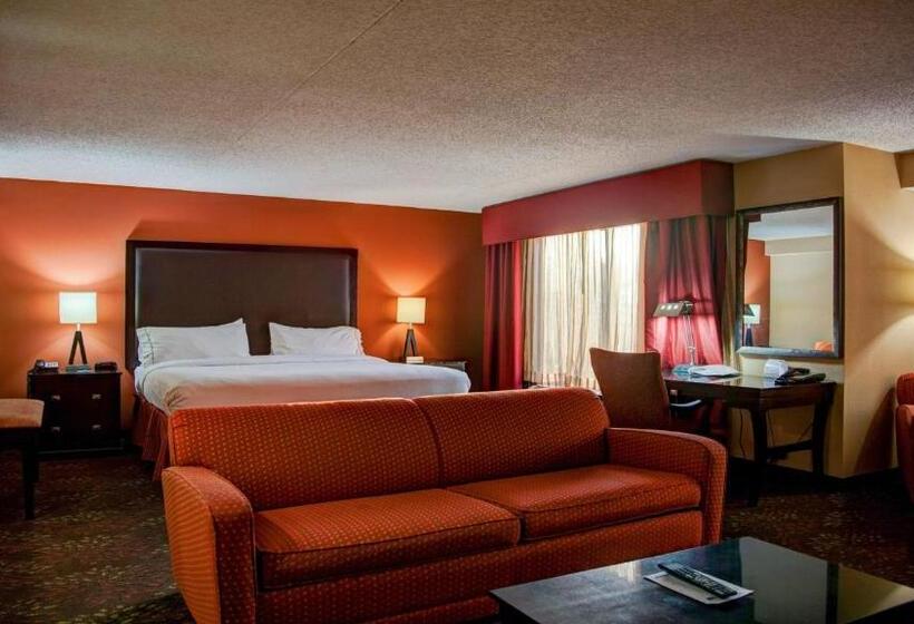 Suite Cama King, Holiday Inn Express Tyler South