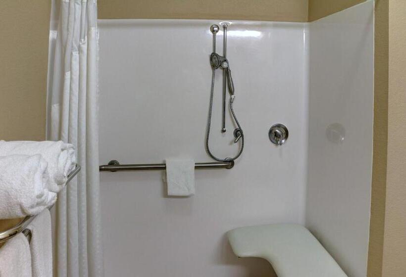 اتاق استاندارد با تخت بزرگ برای معلولان, Holiday Inn Express Tyler South, An Ihg