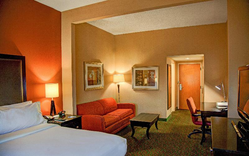 اتاق استاندارد با تخت بزرگ, Holiday Inn Express Tyler South, An Ihg
