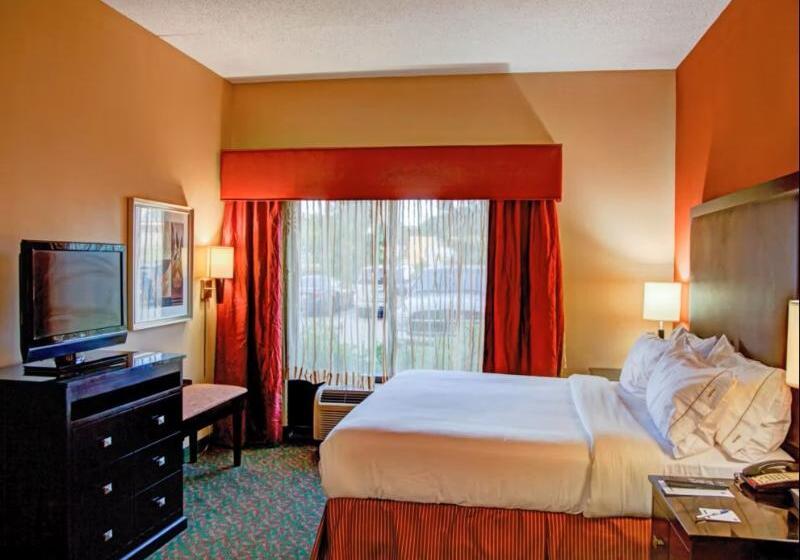 اتاق استاندارد با تخت بزرگ, Holiday Inn Express Tyler South, An Ihg