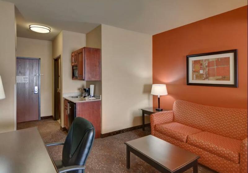 اتاق استاندارد با تخت بزرگ, Holiday Inn Express Tyler South, An Ihg