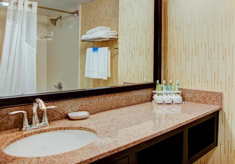 اتاق استاندارد با تخت بزرگ, Holiday Inn Express Tyler South, An Ihg