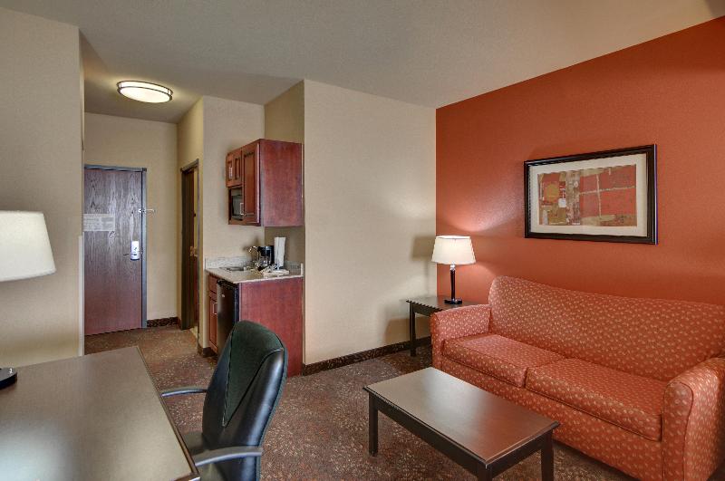 اتاق استاندارد با تخت بزرگ, Holiday Inn Express Tyler South, An Ihg