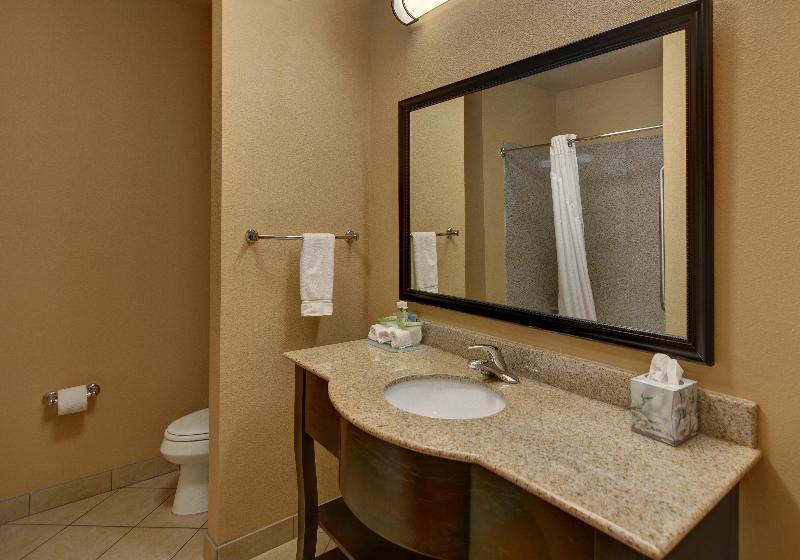 اتاق استاندارد با تخت بزرگ, Holiday Inn Express Tyler South, An Ihg