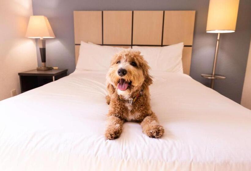 Estudio Estàndard, Sonesta Simply Suites Boston Burlington