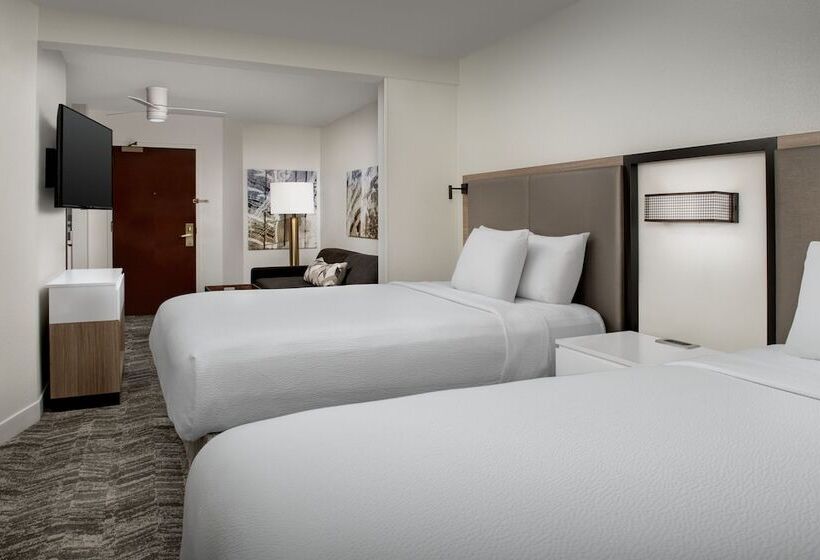 سوییت, Springhill Suites By Marriott Atlanta Buford/mall Of Georgia