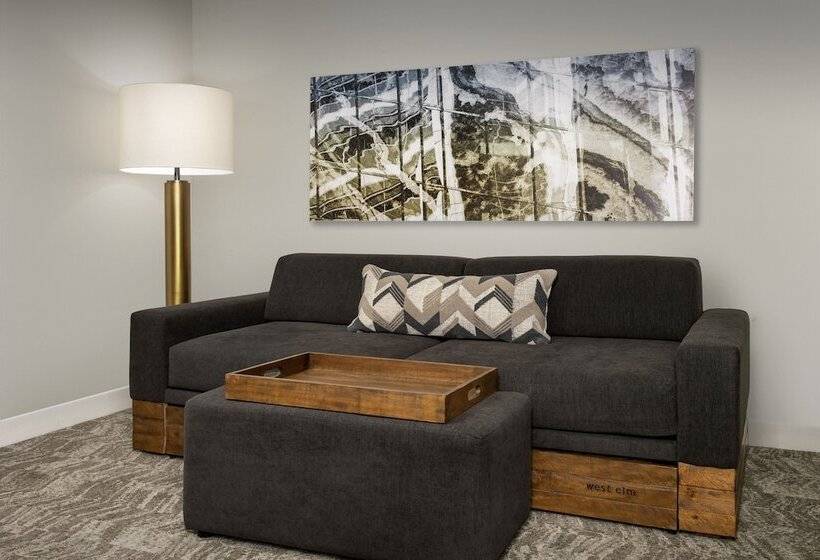 Suite Adapted for people with reduced mobility, Springhill Suites Atlanta Buford/mall Of Georgia