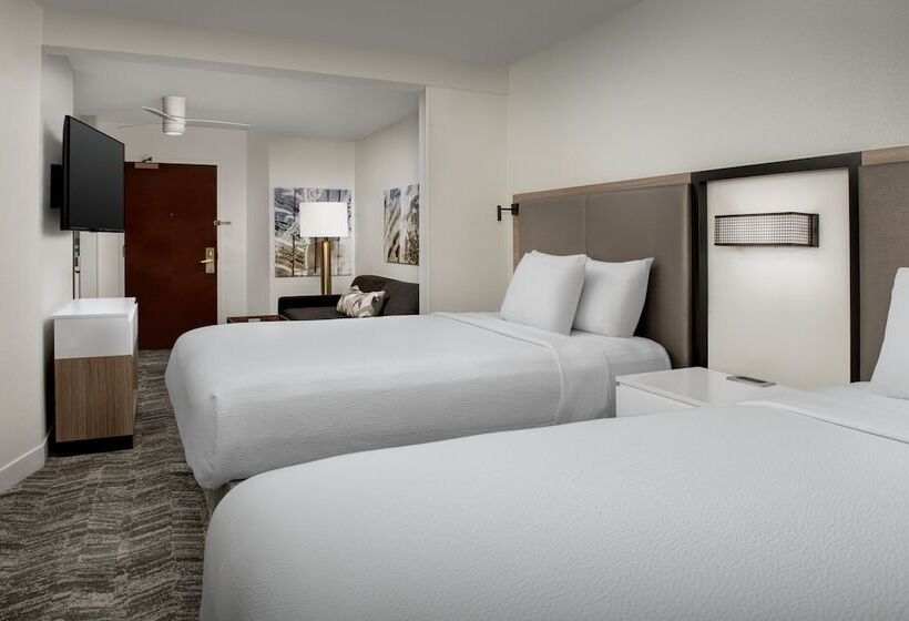 Suite Adaptée aux Personnes à Mobilité Réduite, Springhill Suites Atlanta Buford/mall Of Georgia