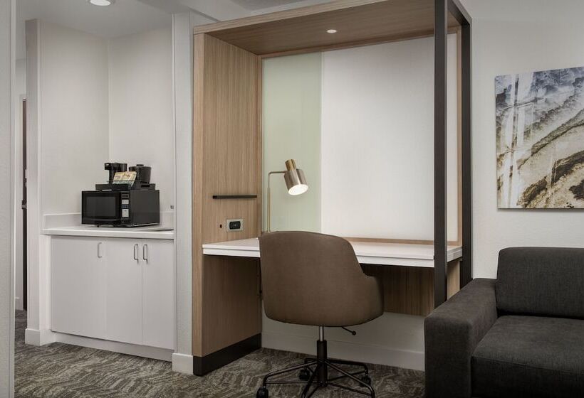 Suite Adapted for people with reduced mobility, Springhill Suites Atlanta Buford/mall Of Georgia