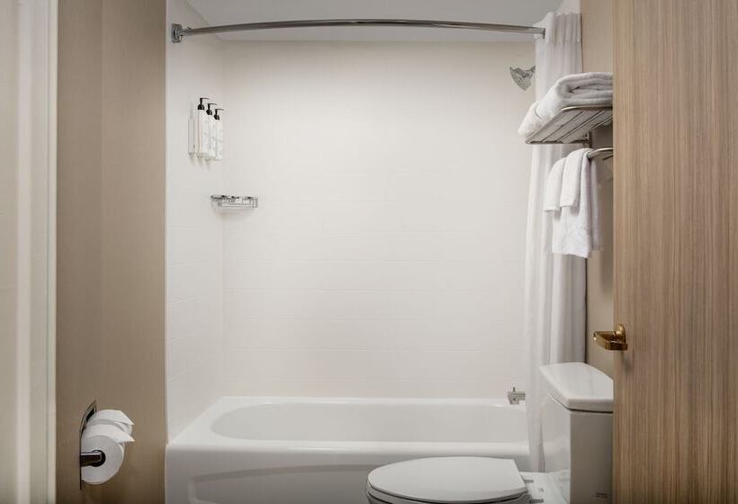 Suite Adapted for people with reduced mobility, Springhill Suites Atlanta Buford/mall Of Georgia