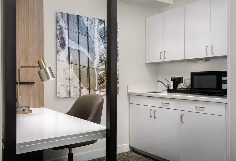 سوئیت برای معلولان, Springhill Suites By Marriott Atlanta Buford/mall Of Georgia