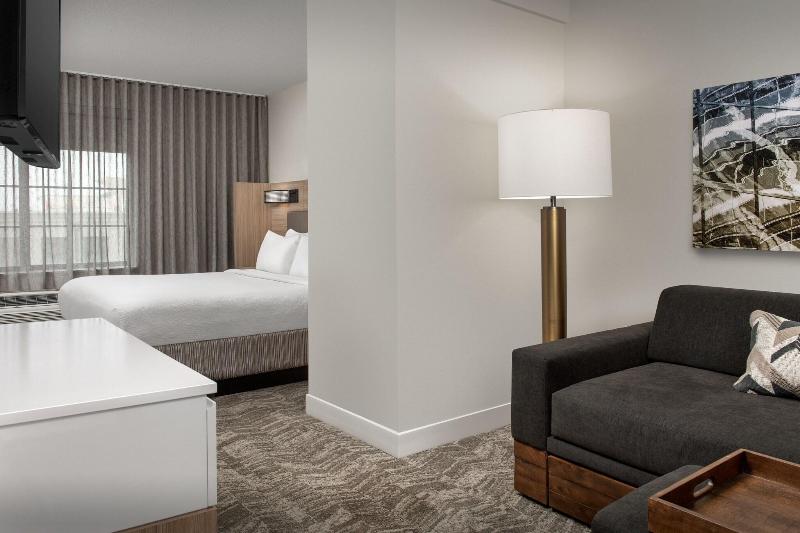 سوئیت با تخت بزرگ, Springhill Suites By Marriott Atlanta Buford/mall Of Georgia
