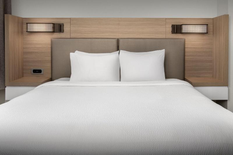 سوئیت با تخت بزرگ, Springhill Suites By Marriott Atlanta Buford/mall Of Georgia