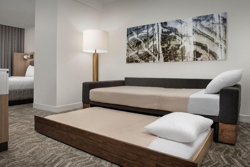 سوئیت با تخت بزرگ, Springhill Suites By Marriott Atlanta Buford/mall Of Georgia