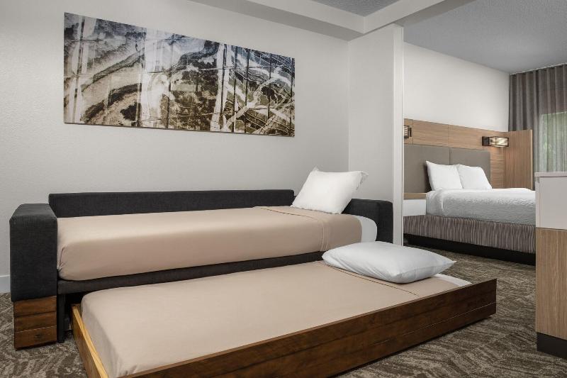سوئیت با تخت بزرگ, Springhill Suites By Marriott Atlanta Buford/mall Of Georgia