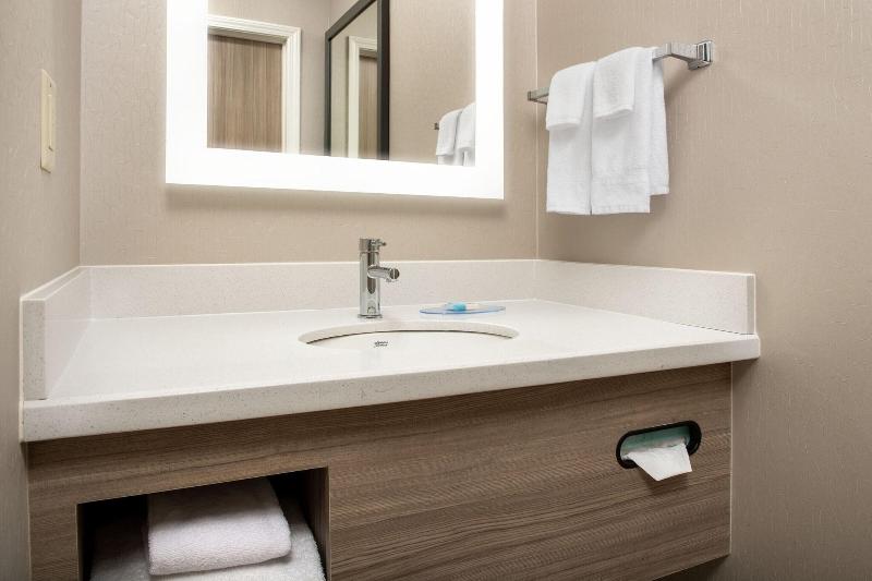 اتاق استاندارد, Springhill Suites By Marriott Atlanta Buford/mall Of Georgia