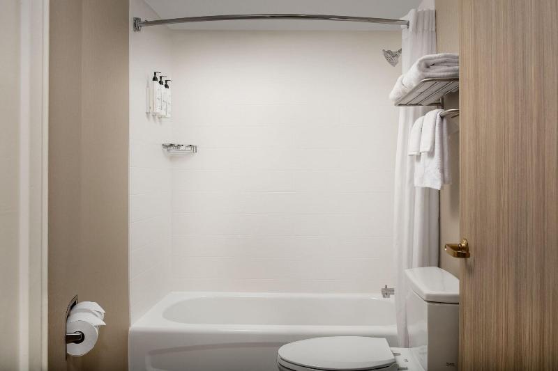 اتاق استاندارد, Springhill Suites By Marriott Atlanta Buford/mall Of Georgia