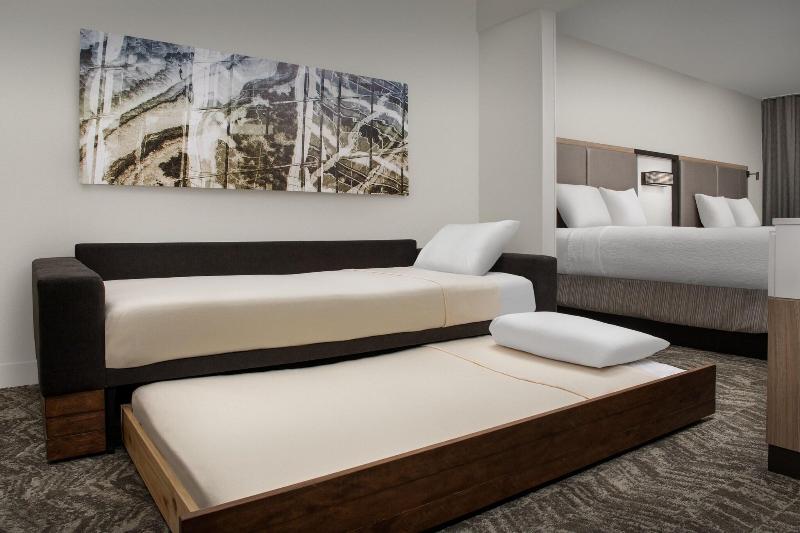 سوییت, Springhill Suites By Marriott Atlanta Buford/mall Of Georgia