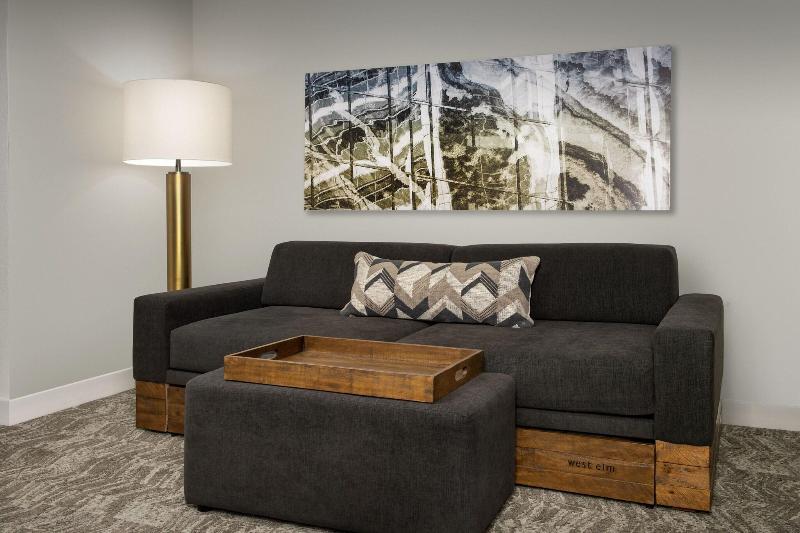 سوییت, Springhill Suites By Marriott Atlanta Buford/mall Of Georgia