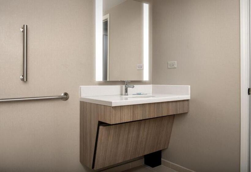 سوییت, Springhill Suites By Marriott Atlanta Buford/mall Of Georgia