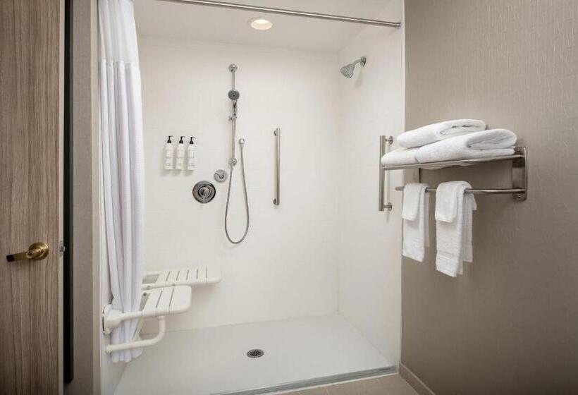 سوئیت با تخت بزرگ, Springhill Suites By Marriott Atlanta Buford/mall Of Georgia
