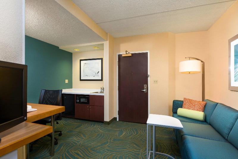 Suite, Springhill Suites Austin South