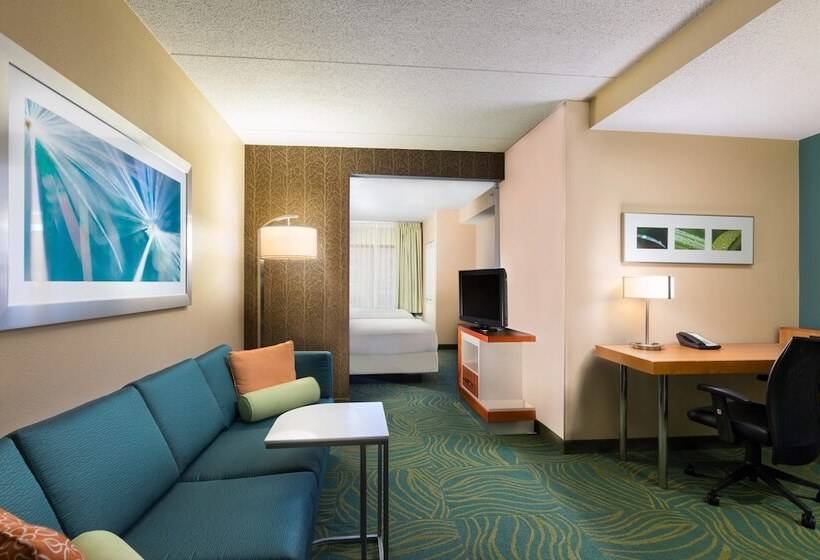 套房, Springhill Suites Austin South