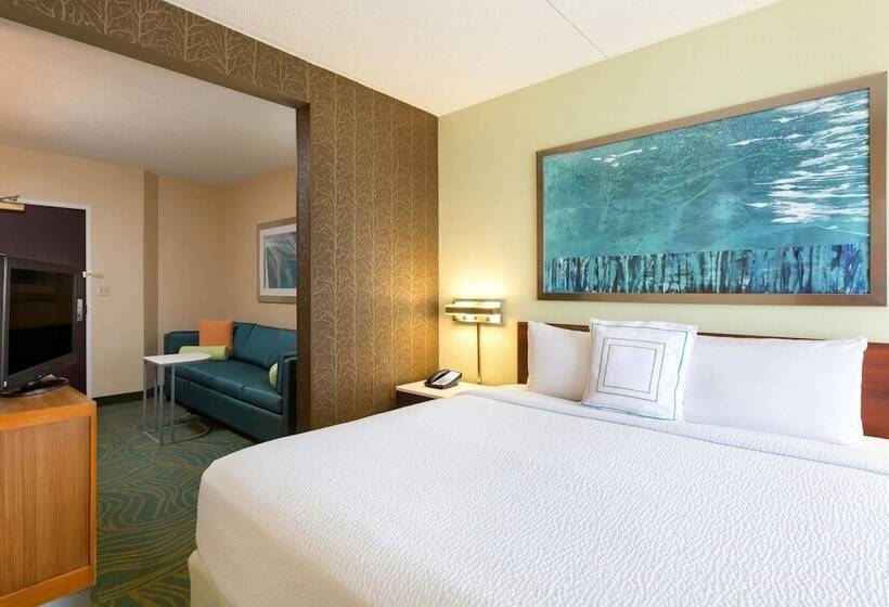 套房, Springhill Suites Austin South