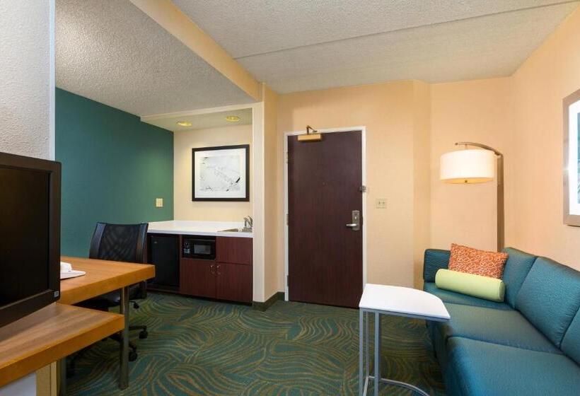 带大床的套房, Springhill Suites Austin South