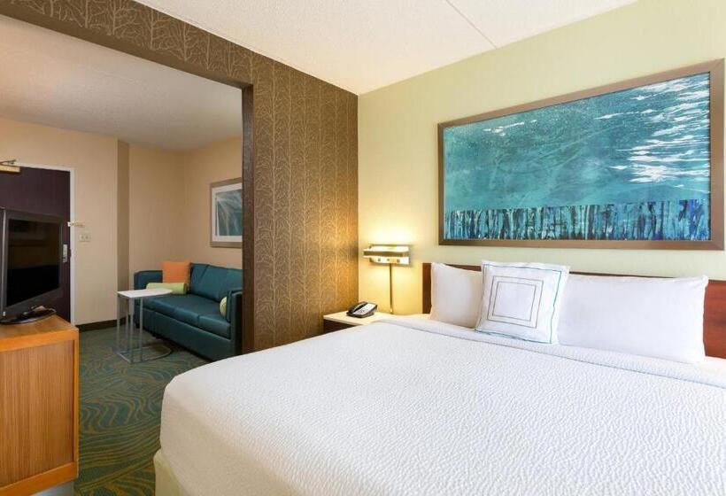 带大床的套房, Springhill Suites Austin South