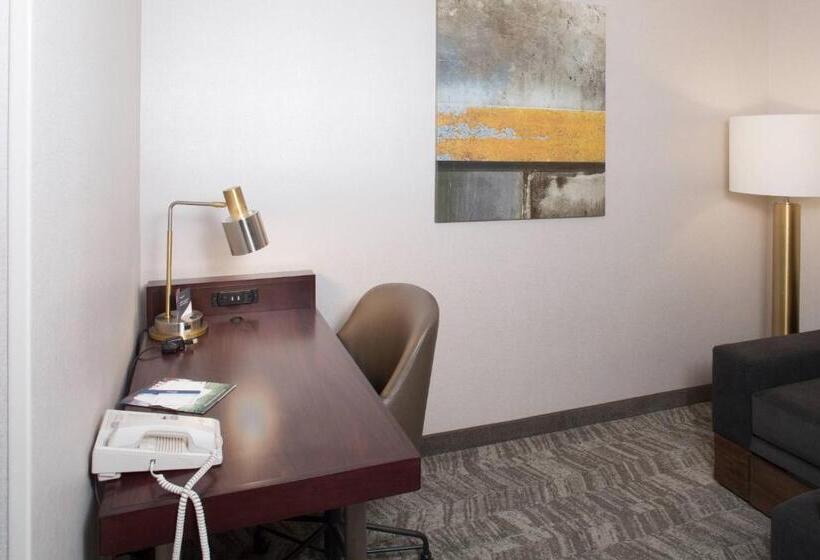 سوییت, Springhill Suites By Marriott Billings