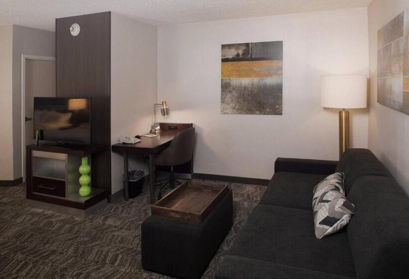 سوییت, Springhill Suites By Marriott Billings