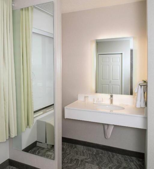 سوئیت با تخت بزرگ, Springhill Suites By Marriott Billings
