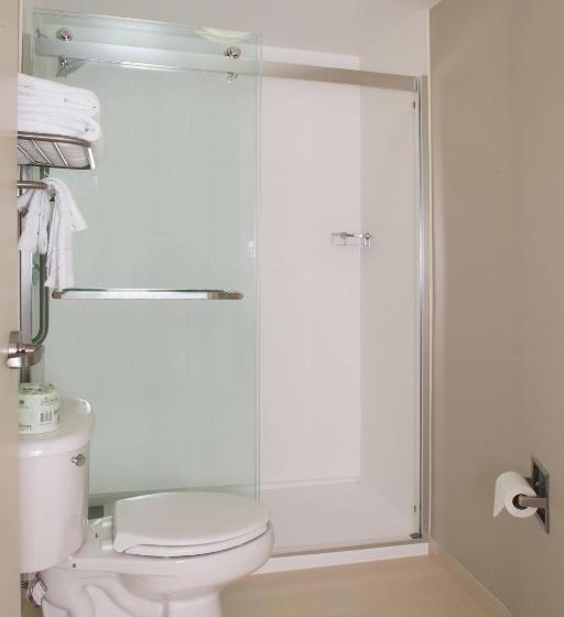 سوئیت با تخت بزرگ, Springhill Suites By Marriott Billings