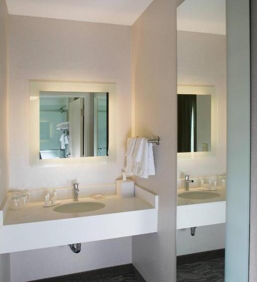 سوئیت با تخت بزرگ, Springhill Suites By Marriott Billings