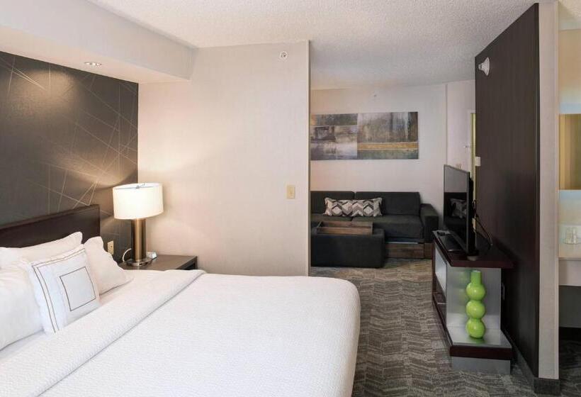 سوئیت با تخت بزرگ, Springhill Suites By Marriott Billings