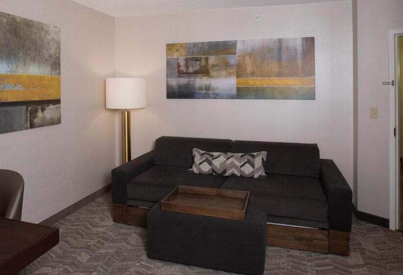 سوئیت برای معلولان, Springhill Suites By Marriott Billings