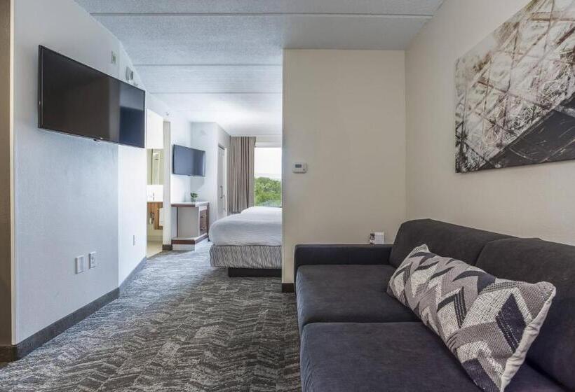 חדר סטודיו סטנדרד, Springhill Suites By Marriott Austin The Domain Area