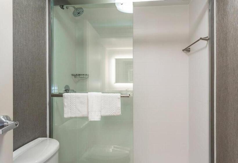 סטודיו סטנדרט, מיטה זוגית, Springhill Suites By Marriott Austin The Domain Area