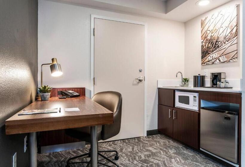 סטודיו סטנדרט, מיטה זוגית, Springhill Suites By Marriott Austin The Domain Area