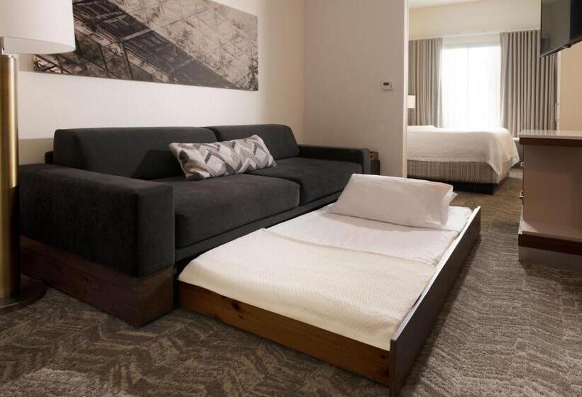 סטודיו סטנדרט, מיטה זוגית, Springhill Suites By Marriott Austin The Domain Area