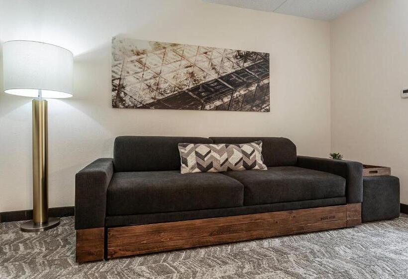 סטודיו סטנדרט, מיטה זוגית, Springhill Suites By Marriott Austin The Domain Area